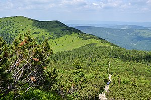 Mała Babia Góra, Beskid Żywiecki 04.jpg