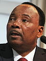  尼日尔 总统 穆罕默杜·伊素福