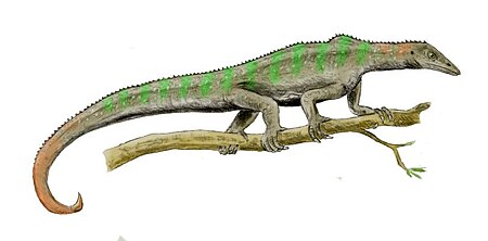 Tập_tin:Megalancosaurus_BW.jpg