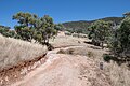 * Nomination A view of Melrose Nature Hike --DXR 09:01, 1 April 2023 (UTC) * Promotion  Support Good quality. --Poco a poco 09:44, 1 April 2023 (UTC)