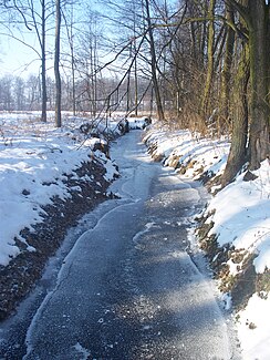 The stream in Średnica