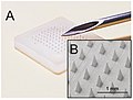 Microneedle array comparison with Hypodermic needle.jpg