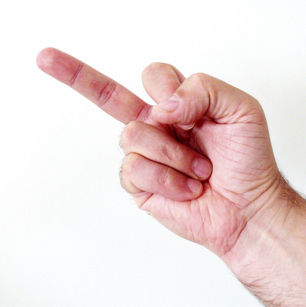 File:Hand - Middle finger.jpg - Wikipedia