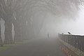 A person running along the pathway nearest the Thames River in Wandsworth Park on a misty morning in November.