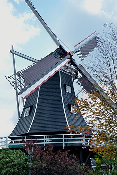 File:Molen De Korenbloem Haaksbergen (04).jpg