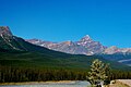 Die Ostseite vom Icefields Parkway vom Tal des Athabasca River aus.