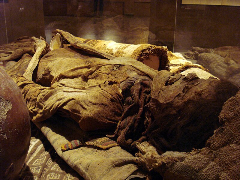 File:Mummy Brunning.jpg