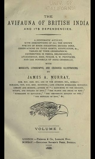 <span class="mw-page-title-main">James A. Murray (zoologist)</span> British zoologist, taxidermist and museum curator