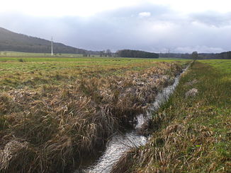 In the valley of the Mutterbach, immediately before the passage under the A 8