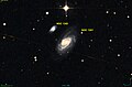 NGC 1241 DSS.jpg