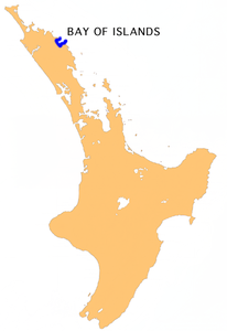 Karte von Bay of Islands