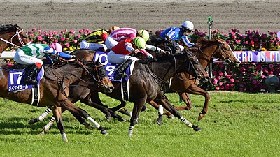 高松宮記念 (競馬)