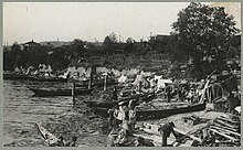 A photograph of many Native American canoes along a beach and escarpment