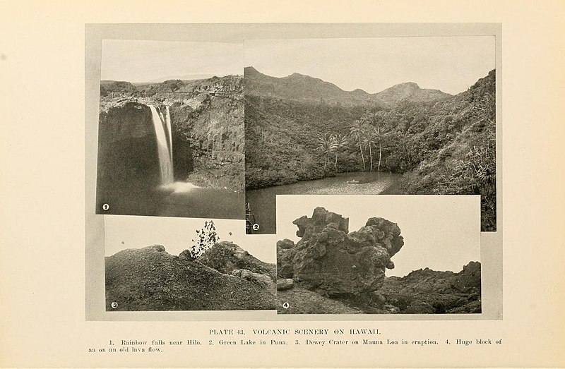 File:Natural history of Hawaii (Page 160) (7153473735).jpg