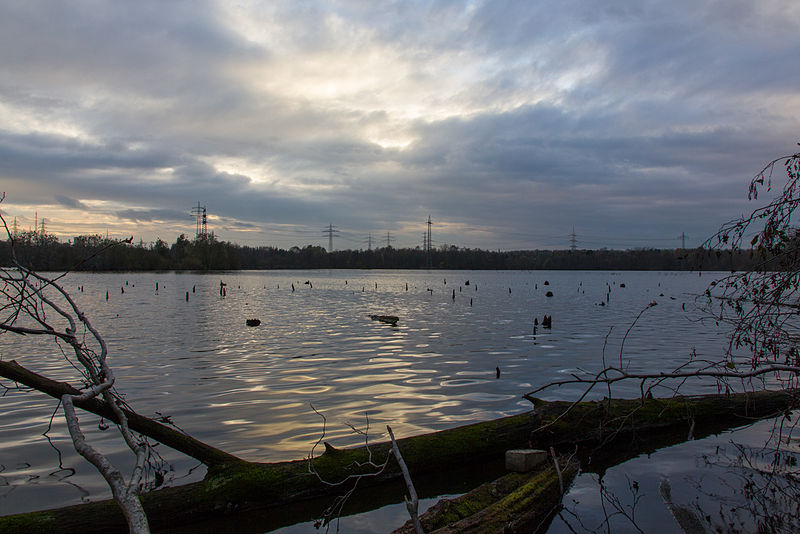 File:Naturschutzgebiet-Hallerey.jpg