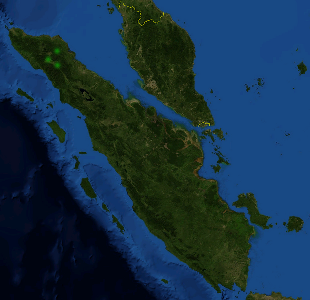 File:Nepenthes densiflora distribution.png