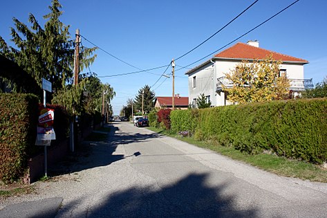 Gänseblümchenweg in Neuessling