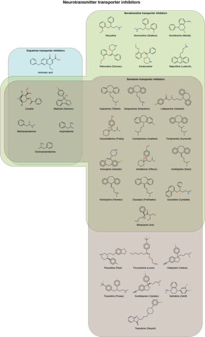 Neurotransmitter transporters inhibitors

.mw-parser-output .legend{page-break-inside:avoid;break-inside:avoid-column}.mw-parser-output .legend-color{display:inline-block;min-width:1.25em;height:1.25em;line-height:1.25;margin:1px 0;text-align:center;border:1px solid black;background-color:transparent;color:black}.mw-parser-output .legend-text{}
Noradrenaline (norepinephrine) transporter inhibitors Neurotransmitter transporters inhibitors.png