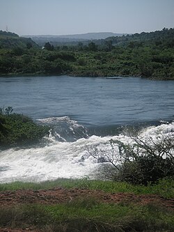 Nilo cerca de la ciudad de Jinja, Uganda