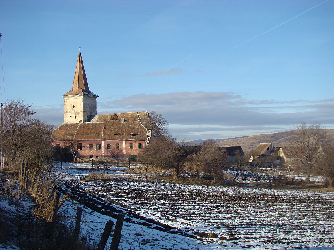 Nou, Sibiu