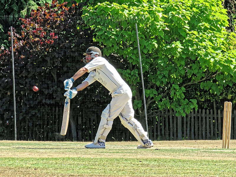 File:Nuthurst CC v. Henfield CC at Mannings Heath, West Sussex, England 009.jpg