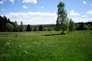 Mittelgrund nature reserve (April 2018)