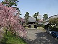 満性寺（愛知県岡崎市）(180401)