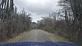 On the road in Bonaire-4.jpg