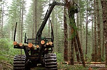 Logging in Oregon Oregon BLM Forestry 06 (6871712301).jpg