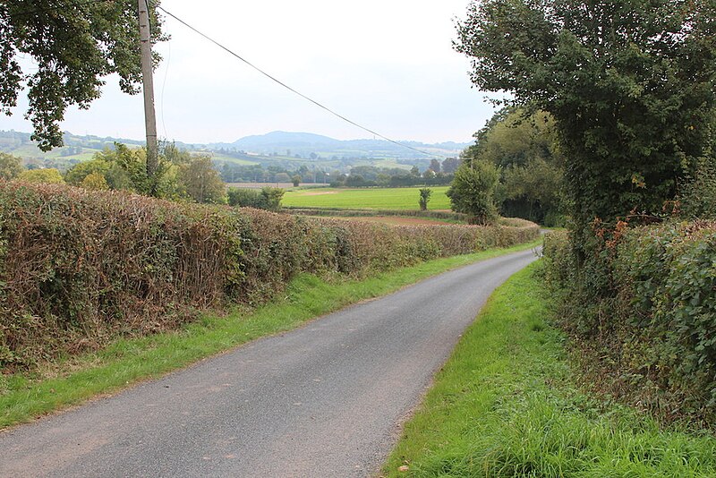 File:Orleton Lane - geograph.org.uk - 4168326.jpg