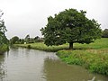 Oxford canal.