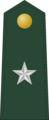 Brigadier general(Philippine Army)[38] 