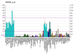 PBB GE PCID1 202232 s at fs.png