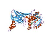 1f3l: ساختار کریستالی هسته حفاظت شده پروتئین آرژنین متیل ترانسفراز PRMT3