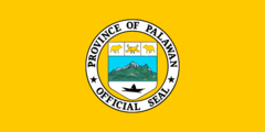 Flag of Palawan