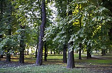 Park Poniatowskiego w Sosnowcu
