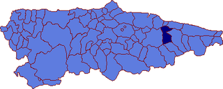 <span class="mw-page-title-main">Parres</span> Municipality in Asturias, Spain