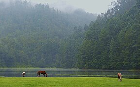 Lagunas de Zempoala Oceanic climate (Cwb)