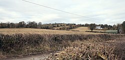 Pasture in Knightswood