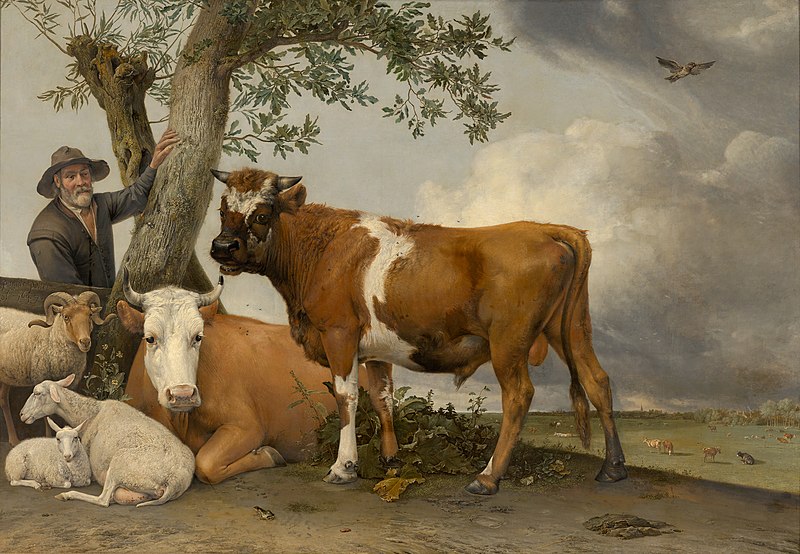 File:Paulus Potter - The Bull - 136 - Mauritshuis.jpg