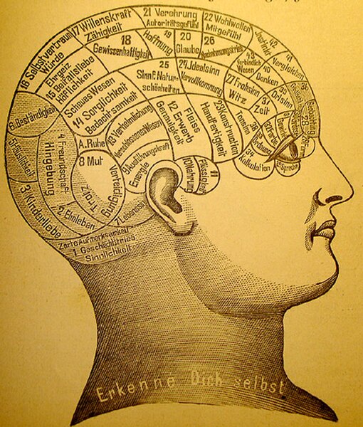 Phrenology was a pseudoscientific attempt to correlate mental functions to brain areas.