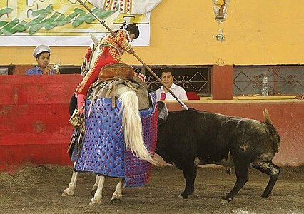 Hilda Tenorio fent de picadora, 2016