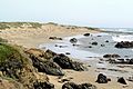 Piedras Blancas State Marine Conservation Area and seal colony