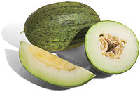 The syncarpous ovary of this melon is made up of four carpels, and has one locule.