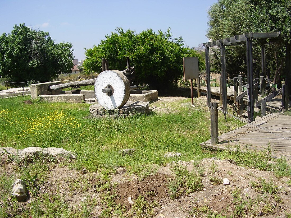 Kfar Saba