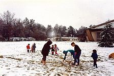 שלג בנאות מרדכי - ישוב בו יורד שלג לעיתים רחוקות, בסביבות פברואר 1992
