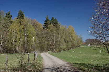Plechov, route de Nepřejov.