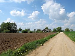 Blick von einer unbefestigten Straße in Płonka-Kozły