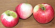 Vorschaubild für Akane (Apfel)