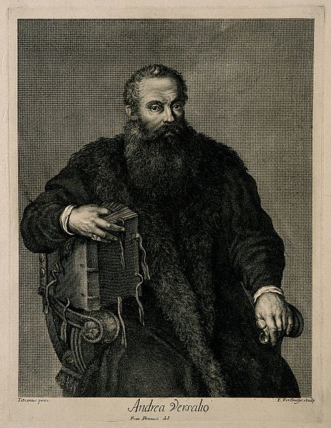 File:Portrait of Andreas Vesalius (1514 - 1564), Flemish anatomist Wellcome V0006034.jpg